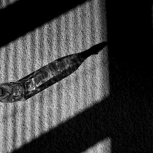 Shadows