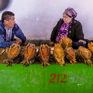 Selling dried fish, Nukus, Uzbekistan.