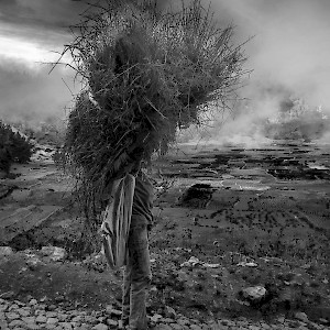 A local carrying fuel, Cape Verde