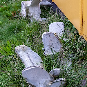 A strange garden ornament of whalbones, Tasilaq, Greenland