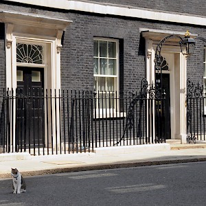 Larry the Prime Ministers Cat